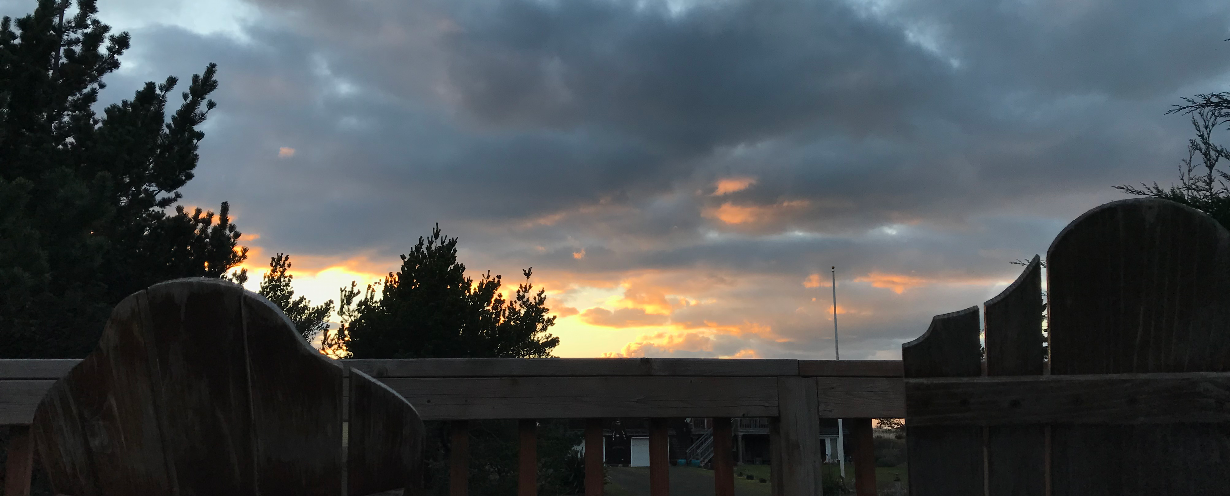 Deck View